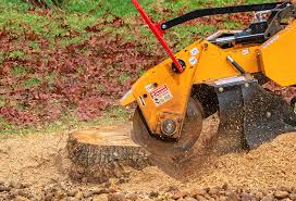 Best Lot and Land Clearing  in Elmo, TX