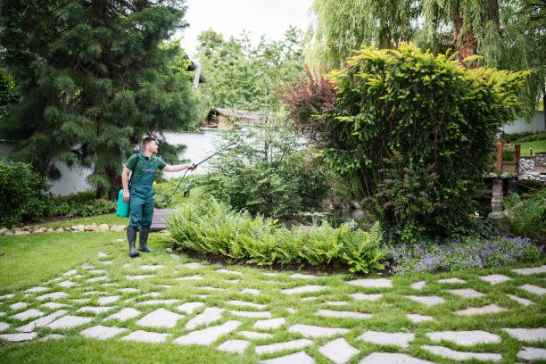 Organic Lawn Care Solutions in Elmo, TX